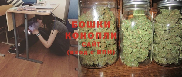 винт Липки