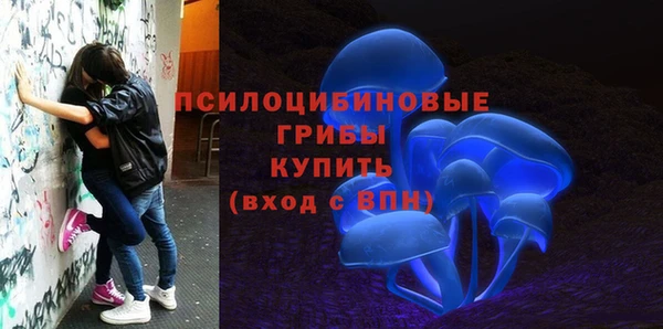 амфетамин Алексеевка